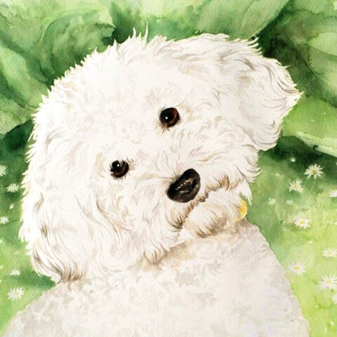 aquarelle portrait dog